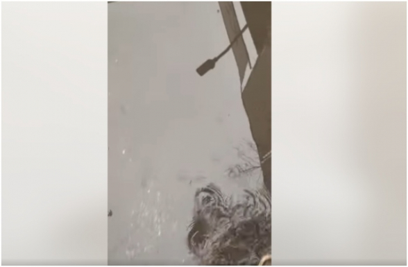 Երևանը կրկին լճերի մեջ է (տեսանյութ)